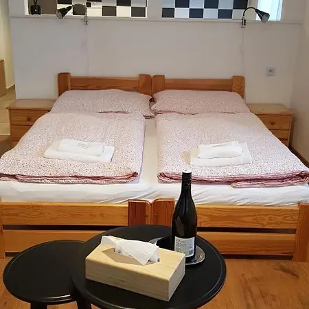 Family Guest house *